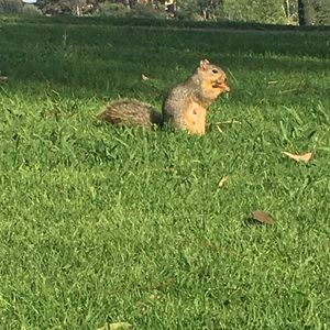 Meet your Posher, Jackie